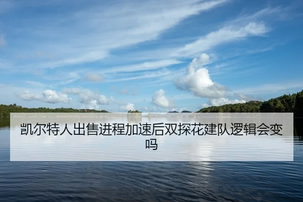 kai-er-te-ren-chu-shou-jin-cheng-jia-su-hou-shuang-tan-hua-jian-dui-luo-ji-hui-bian-ma-2-508.jpg