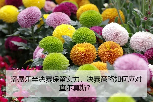 潘展乐半决赛保留实力，决赛策略如何应对查尔莫斯？